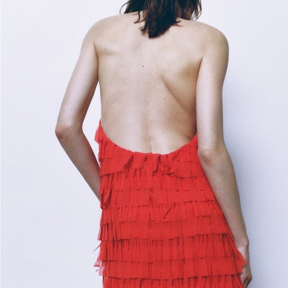 ZARA BLOGGER FAVORITE FRINGED TULLE HALTER DRESS - Picture 9 of 13